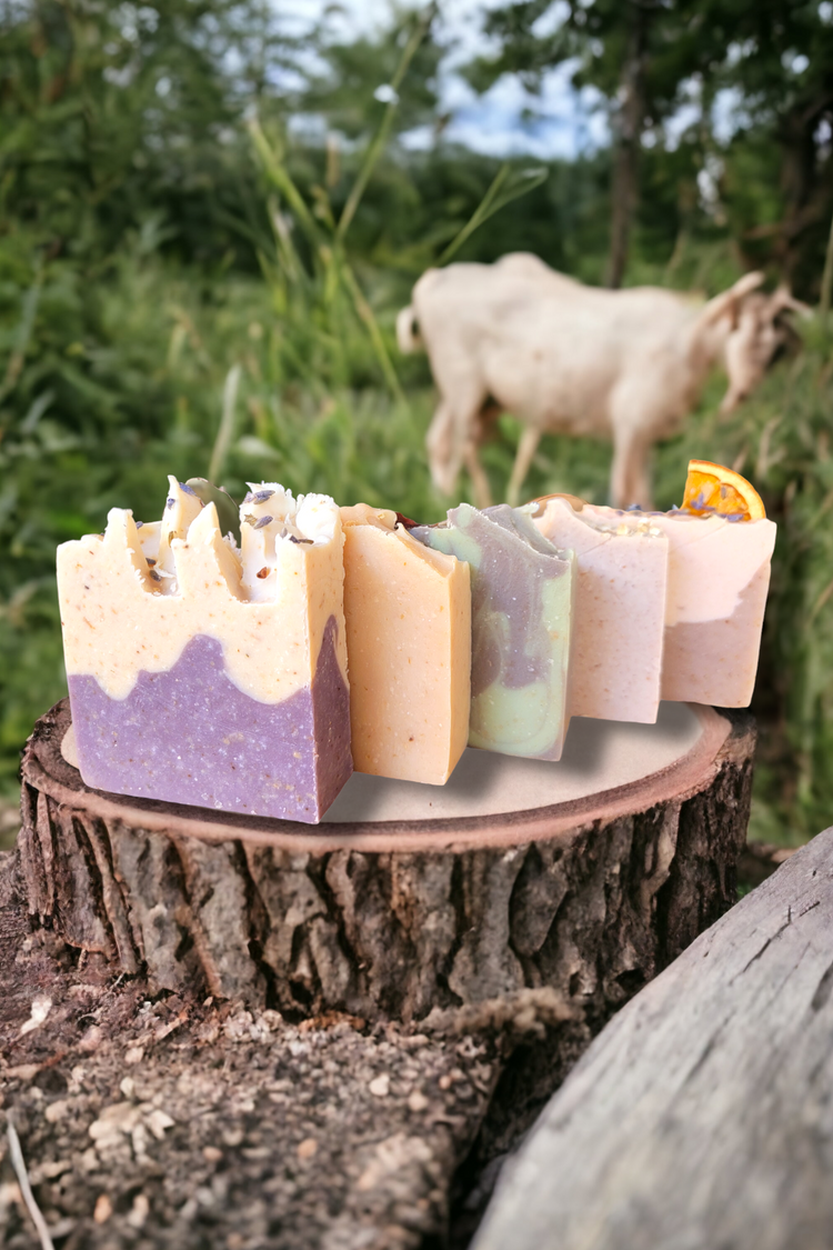 GOAT’S MILK BARS