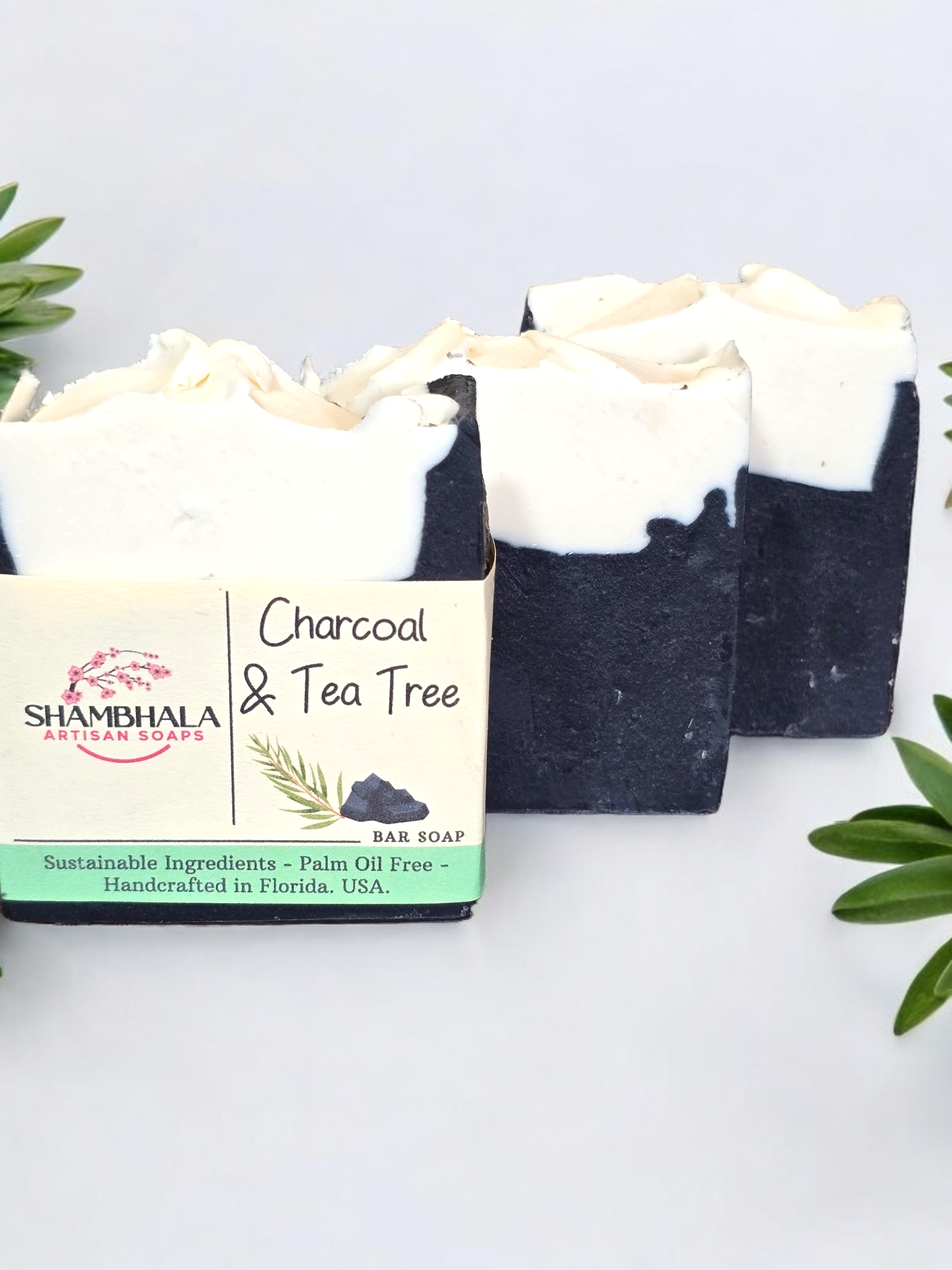 Charcoal Tea Tree